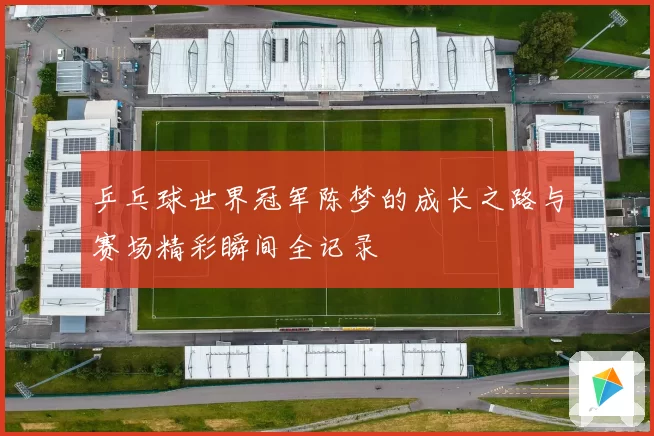 乒乓球世界冠军陈梦的成长之路与赛场精彩瞬间全记录