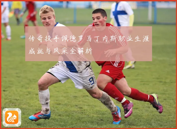 传奇投手佩德罗马丁内斯职业生涯成就与风采全解析