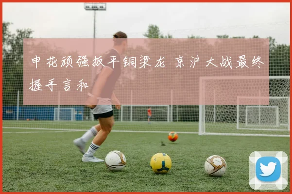 申花顽强扳平铜梁龙 京沪大战最终握手言和