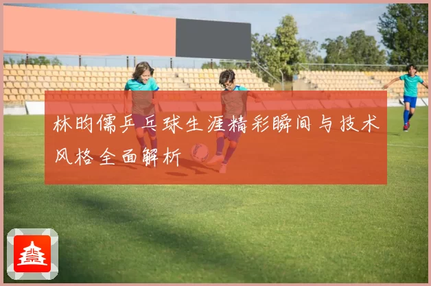 林昀儒乒乓球生涯精彩瞬间与技术风格全面解析